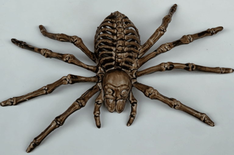 Skeleton Halloween Spider Decorations(1)