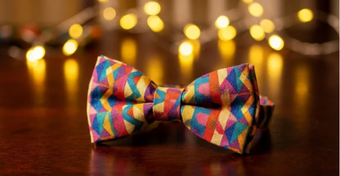 Party Bow Tie vs Cravat Men's Style Guide